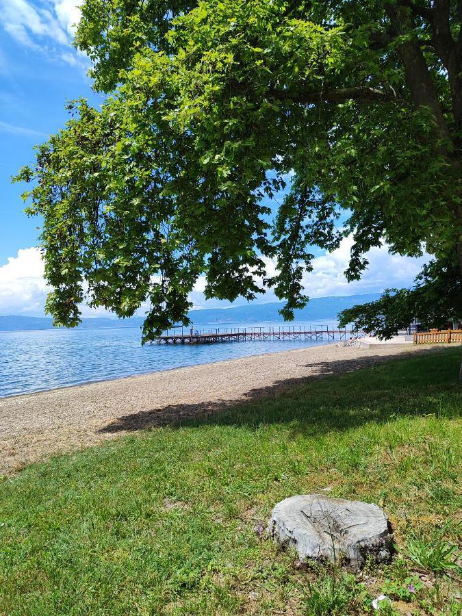 Villa Paradiso Ohrid Bagian luar foto